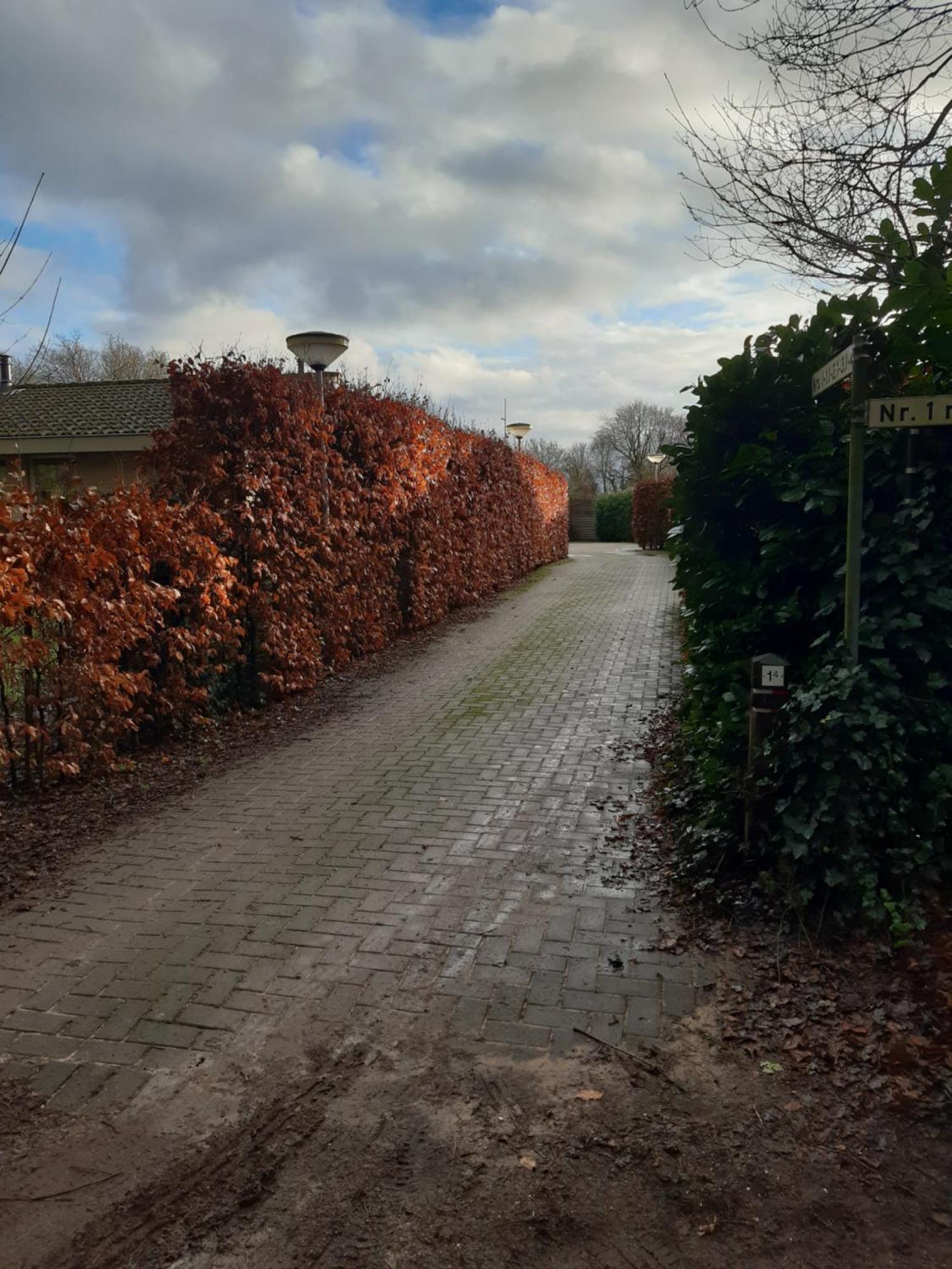 Вілла Huinerhofje 3 - Vrijstaand, Grote Tuin, Rust En Veel Privacy Nabij Uitgestrekte Bossen Пюттен Екстер'єр фото